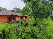 Top Kurchi
