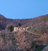 Top Subbiano
