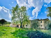 Top Montecarotto