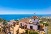 Top Torrox Top Torrox