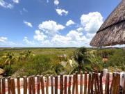 Top Isla Holbox