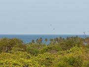 Top Puducherry