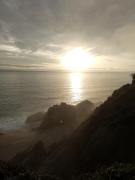Top Algarrobo