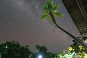 Top Pulau Mansuar