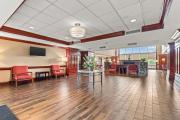 Top Manassas