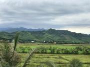 Top Phong Nha