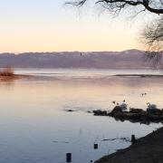 Top Kressbronn am Bodensee