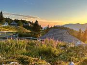 Top Stahovica