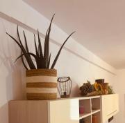 Top Casamassella