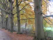 Top Hilversum