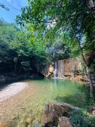Top Montecarelli
