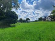 Top Brodnica