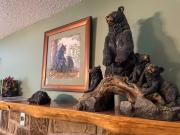 Top Sevierville