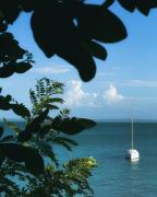 Top Isla Fuerte