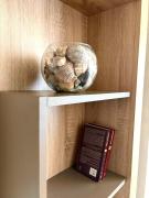 Apartment in Constanta