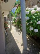 Top Pogradec