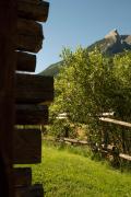 Top Cogne