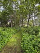 Lille Morsholt, in the middle of nature