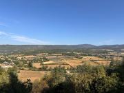 Top Roaix