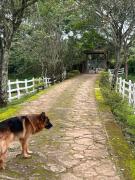 Top Tiradentes