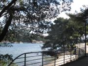 Top Stari Grad
