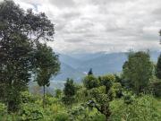 Top Kalimpong