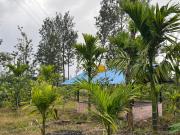 Top Piriyāpatna