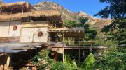 Jungle Boat Haven