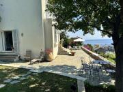 Top Brando