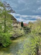 Top Arbois
