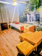 Top Dimitrovgrad