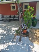 Top Trogir