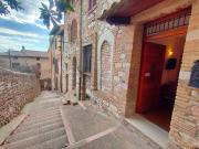 Top Assisi