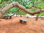 Top Auroville
