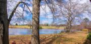 Top Pine Mountain