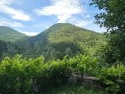 Top Spoleto