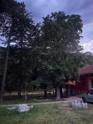 Top Rtanj