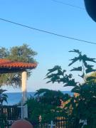 Top Vergia