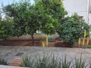 Top Limassol