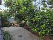 Top Limassol