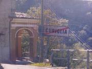 Top Curiglia