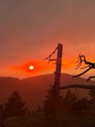 Top Zlatibor