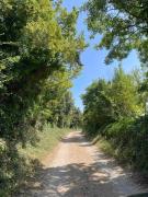 Top Rovinj
