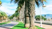 Top Motril