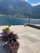 Top Kotor