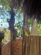 Top Sayulita