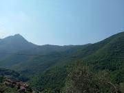 Agriturismo U Spigu