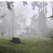 Top Paraisópolis