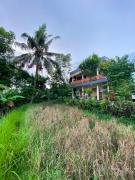 Top Ubud