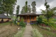 Top Patengan